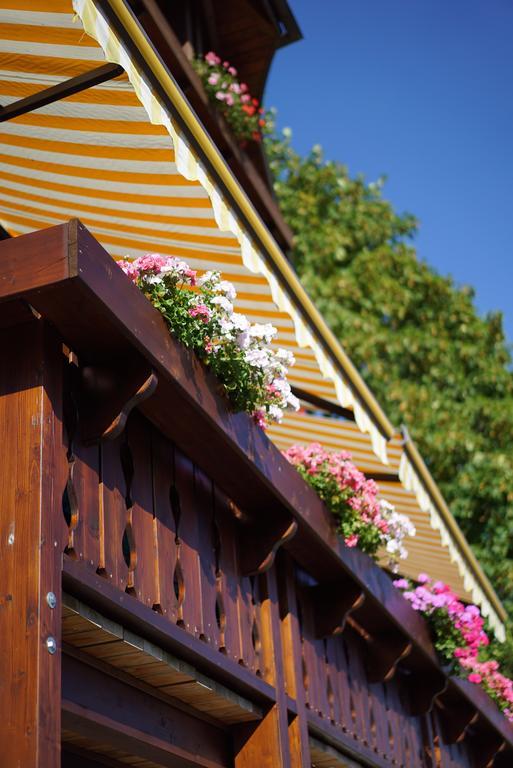 Hoehengasthof Roessle Hotel Schluchsee Exterior photo